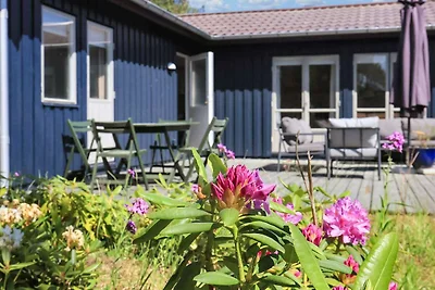 6 Personen Ferienhaus in Ålbæk