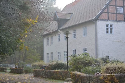Alte Stiftsschule