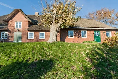 Rietgedekt huis Sünsbarg