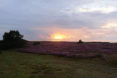 8 persoons vakantie huis in Læsø-By Traum