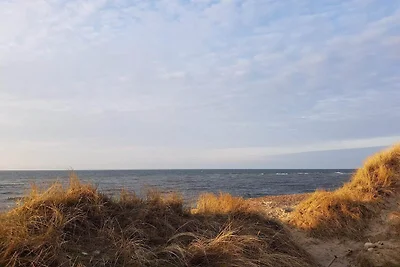 8 Personen Ferienhaus in Frøstrup-By Traum