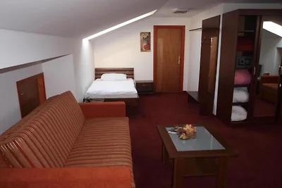 Hotel Orion - Single Room with Mountain View