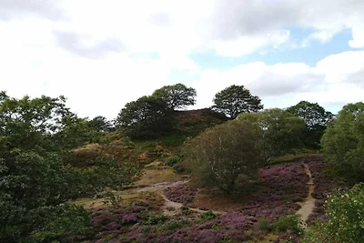 8 Personen Ferienhaus in Gjern-By Traum