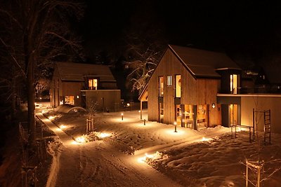 Villa mit Kamin in Cerný Dul