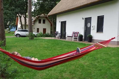 Meine kleine Sansibar 1