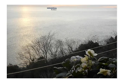 APPARTEMENT TRIESTE NATASCIA