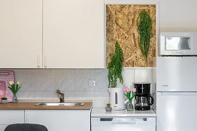 Apartments Villa Mavi, Novalja, ground floor