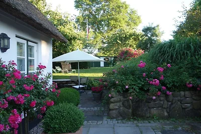 "The Coachman's Cottage"