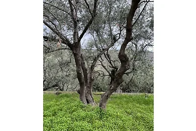 Baita a Civezza con piscina