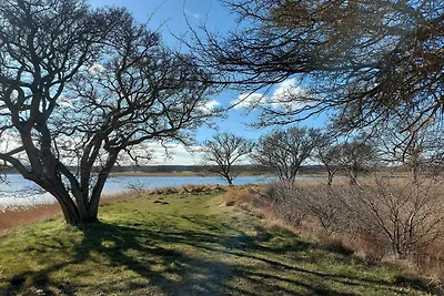 5 Personen Ferienhaus in Præstø-By Traum