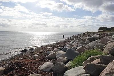 6 Personen Ferienhaus in Tranekær-By Traum