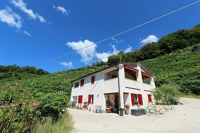 Bella casa vacanze a Miane con terrazza