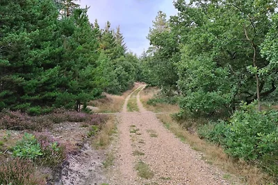 6 persone case ad Henne-By Traum