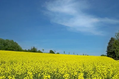"Weserbergland" Komfortable Ferienresidenz