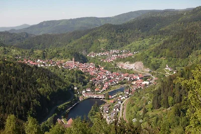 Vakantieappartement in Haus Schiefertal,...