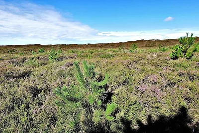 6 persone case ad Henne-By Traum