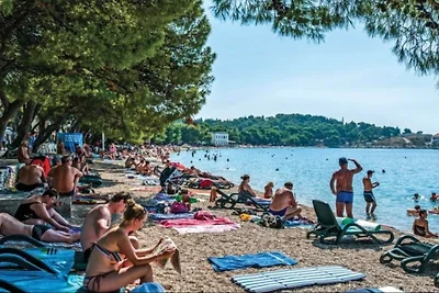 Apartments Grljusic - One Bedroom Apartment...