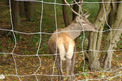 Appartement met één slaapkamer