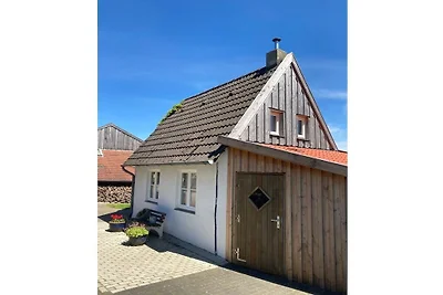 Ferienhaus in Münster mit Schwimmbecken