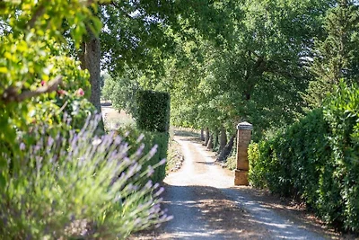 Sonnenverwöhntes Ferienhaus mit Garten