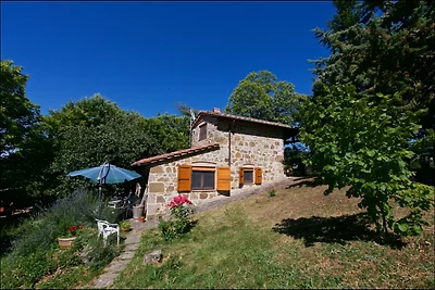 Ferienhaus in Seggiano mit Wald