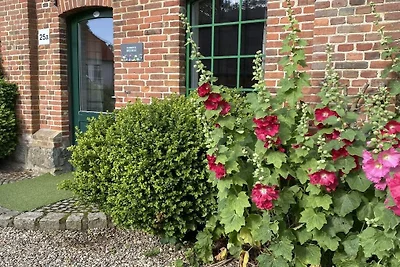 Ferienhaus Arrild "Kuhstall"
