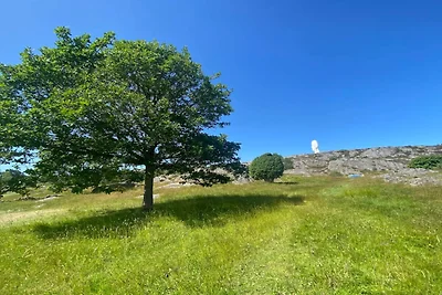4 persone case ad KYRKESUND-By Traum