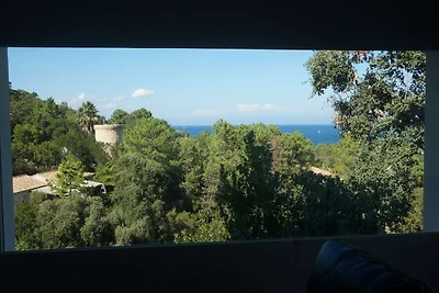 Villa in Solenzara mit Pool und Meerblick