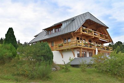 Appartement bij het skigebied in Urberg