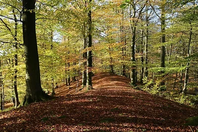 Ferienhaus in der Nähe des Angelgebiets