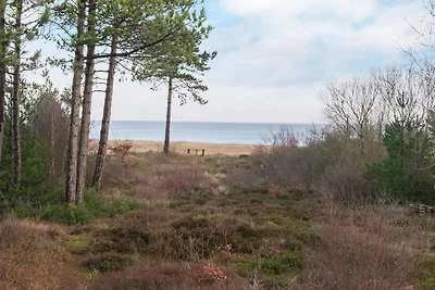 4 Personen Ferienhaus in Rømø-By Traum