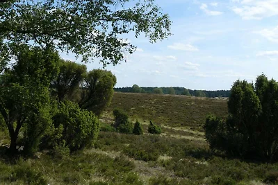Casa vacanze a Wietzendorf con terrazza