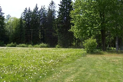 5 persoons vakantie huis in LAMMHULT, SVERIGE