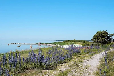 4 Sterne Ferienhaus in VISBY-By Traum