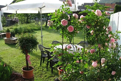 Ferienwohnung Haus Renate im Pfälzerwald