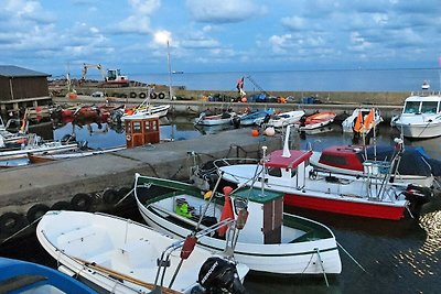 4 Sterne Ferienhaus in Nexø