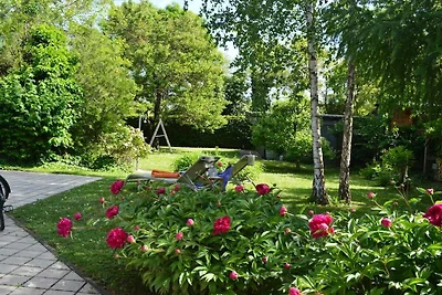 Nella casa vacanze Burgenland 1