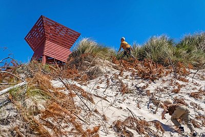 4 persone casa vacanze parco a Blokhus