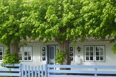 Ferienhaus mit 1 Schlafzimmer