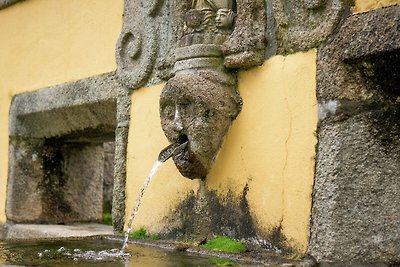 Exzellentes Cottage in Santa Comba mit...