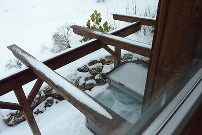 Dromerig chalet op de piste