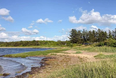 6 persone case ad Farsø-By Traum