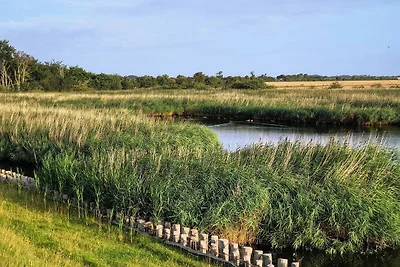 Ferienwohnung Sturmeck, Fehmarn-Orth