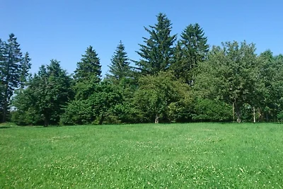 Ferienhaus mit 2 Schlafzimmer