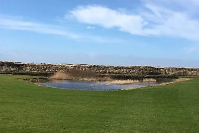 Fantastischer Bungalow auf Texel