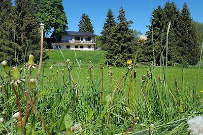 Ferienhaus in Willingen mit Infrarotsauna