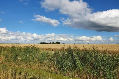 Heerlijk vakantiehuis aan het water met tuin
