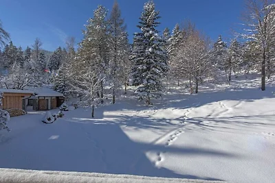 3-Raum Appartement TIROL im Haus Wildsee