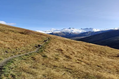 Helle und gemütliche Alpenwohnung