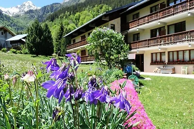Apartment in Planay in der Nähe der Skipisten
